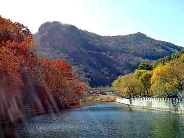 新澳天天开奖资料大全旅游团，seo黑帽技术